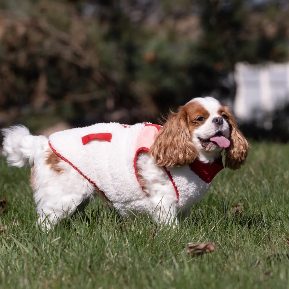 Vibrant Life Sherpa Contrast Yoke Quilted Pet Jacket NEW!